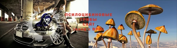 а пвп мука Няндома