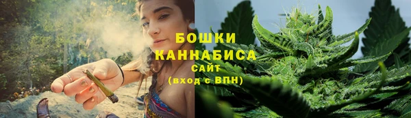 шишки Волоколамск