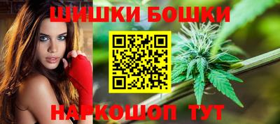 индика Заводоуковск