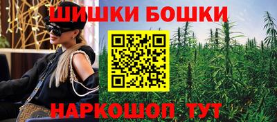 индика Заводоуковск