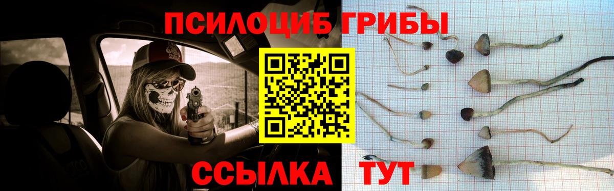 Ртищево  Галлюциногенные грибы GOLDEN TEACHER  Вход с VPN  Псилоцибиновые грибы GOLDEN TEACHER 